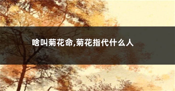 啥叫菊花命,菊花指代什么人