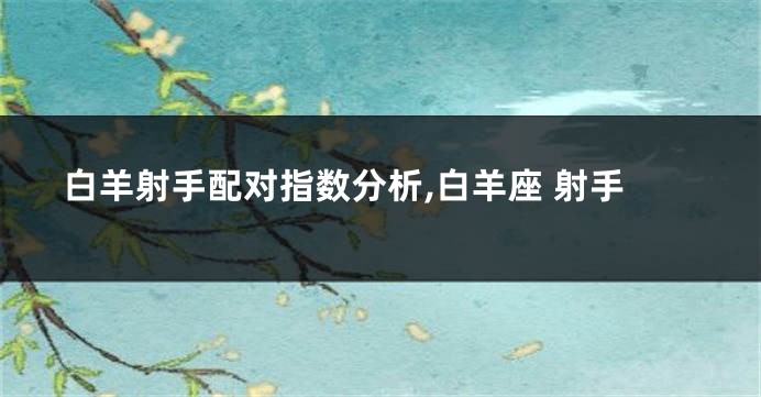 白羊射手配对指数分析,白羊座 射手
