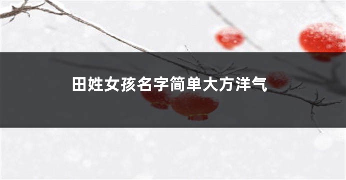 田姓女孩名字简单大方洋气