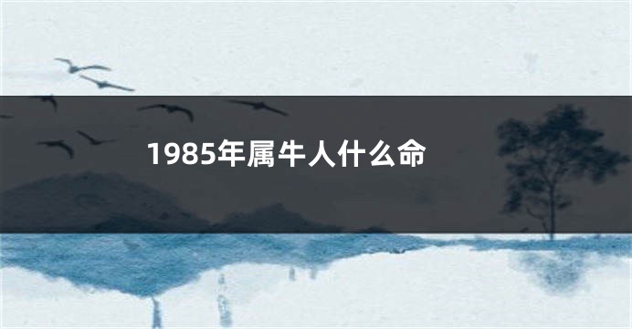 1985年属牛人什么命