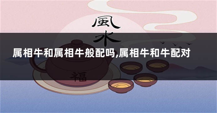属相牛和属相牛般配吗,属相牛和牛配对