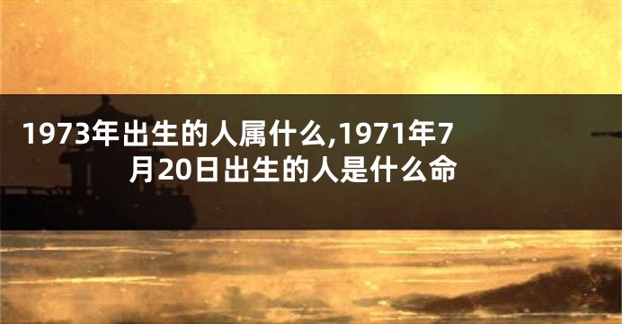 1973年出生的人属什么,1971年7月20日出生的人是什么命