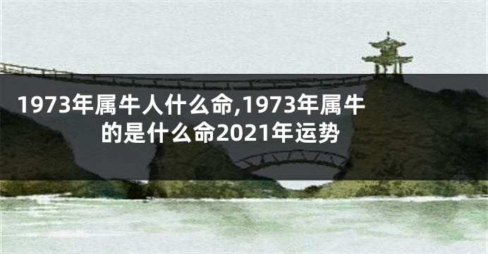 1973年属牛人什么命,1973年属牛的是什么命2021年运势