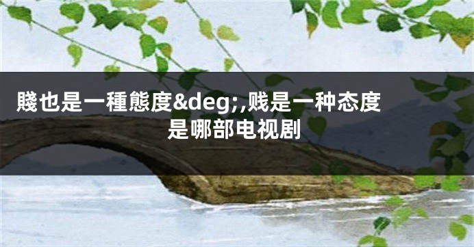 賤也是一種態度&deg;,贱是一种态度是哪部电视剧