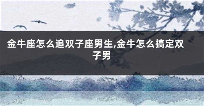 金牛座怎么追双子座男生,金牛怎么搞定双子男
