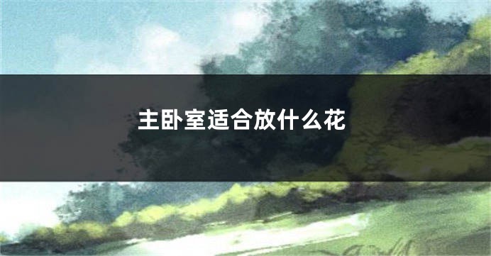 主卧室适合放什么花