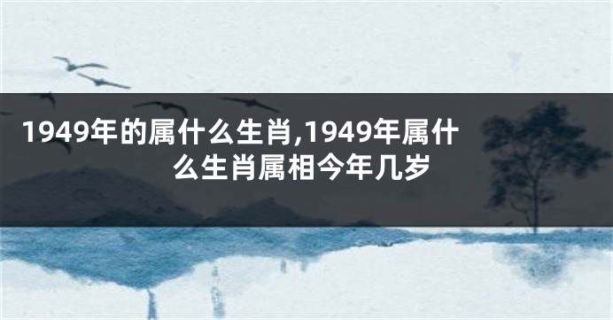 1949年的属什么生肖,1949年属什么生肖属相今年几岁