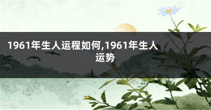 1961年生人运程如何,1961年生人运势