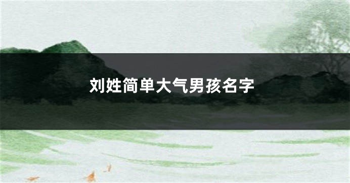 刘姓简单大气男孩名字