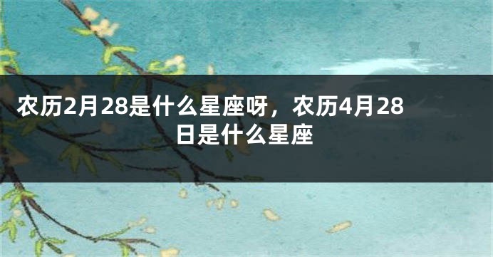 农历2月28是什么星座呀,农历4月28日是什么星座
