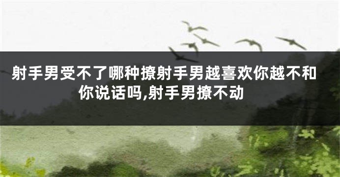 射手男受不了哪种撩射手男越喜欢你越不和你说话吗,射手男撩不动