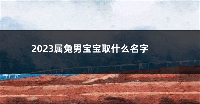 2023属兔男宝宝取什么名字