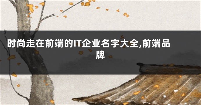 时尚走在前端的IT企业名字大全,前端品牌