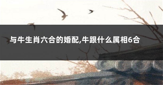 与牛生肖六合的婚配,牛跟什么属相6合