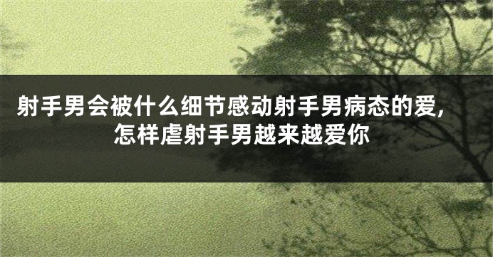射手男会被什么细节感动射手男病态的爱,怎样虐射手男越来越爱你
