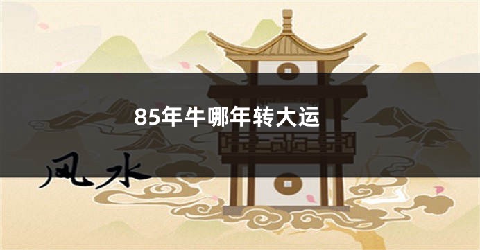 85年牛哪年转大运