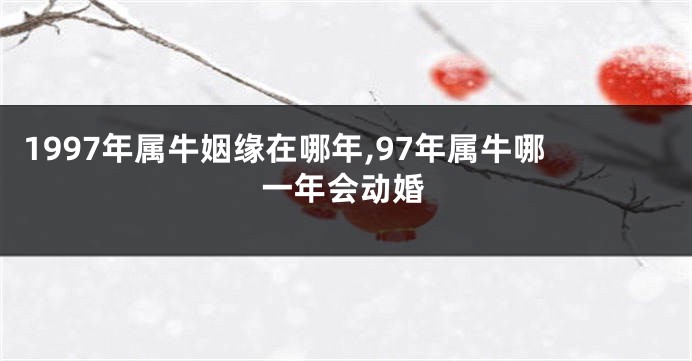 1997年属牛姻缘在哪年,97年属牛哪一年会动婚