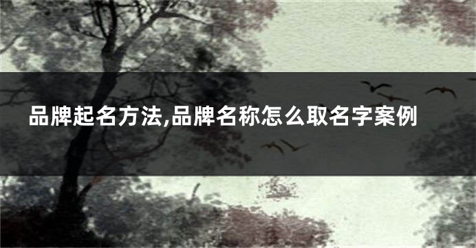 品牌起名方法,品牌名称怎么取名字案例