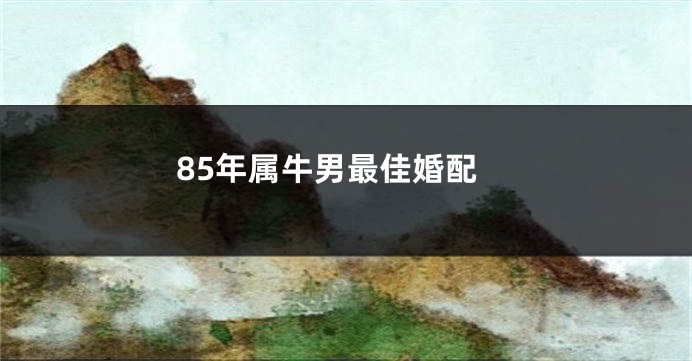 85年属牛男最佳婚配