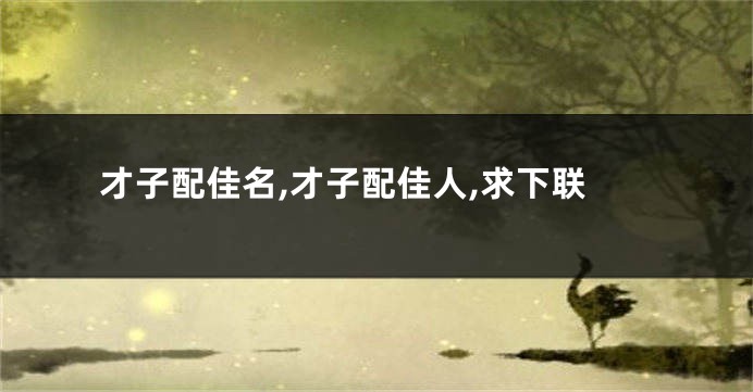 才子配佳名,才子配佳人,求下联