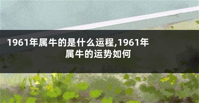 1961年属牛的是什么运程,1961年属牛的运势如何