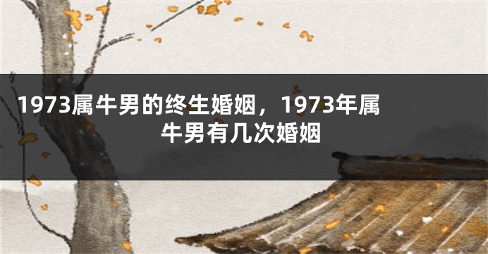 1973属牛男的终生婚姻,1973年属牛男有几次婚姻