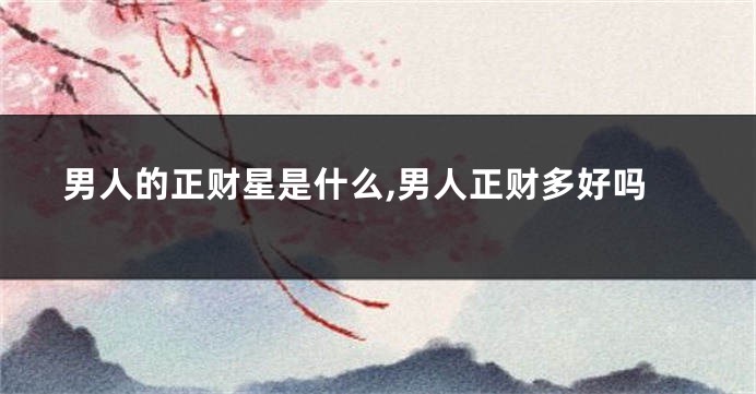 男人的正财星是什么,男人正财多好吗