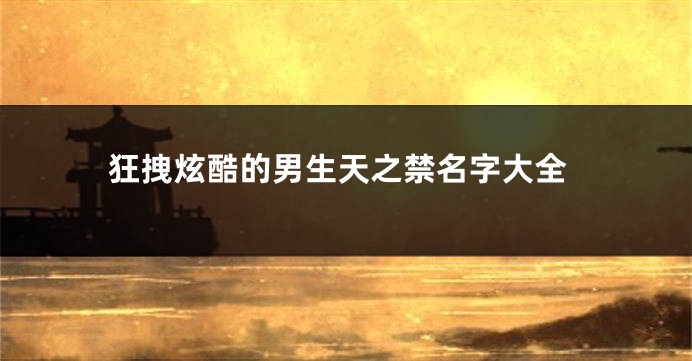 狂拽炫酷的男生天之禁名字大全