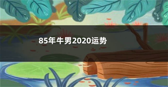 85年牛男2020运势