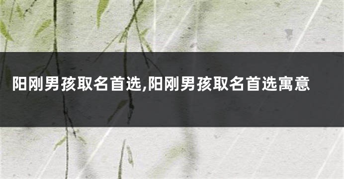 阳刚男孩取名首选,阳刚男孩取名首选寓意