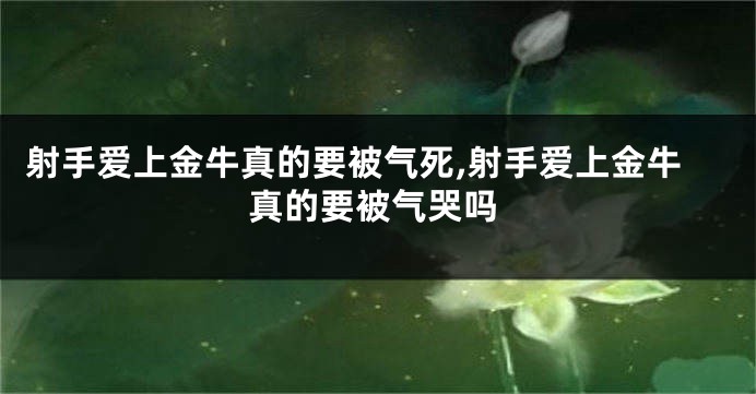 射手爱上金牛真的要被气死,射手爱上金牛真的要被气哭吗