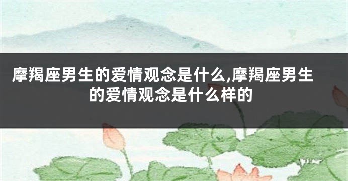 摩羯座男生的爱情观念是什么,摩羯座男生的爱情观念是什么样的