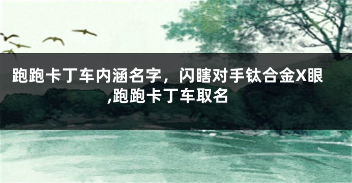 跑跑卡丁车内涵名字,闪瞎对手钛合金X眼,跑跑卡丁车取名