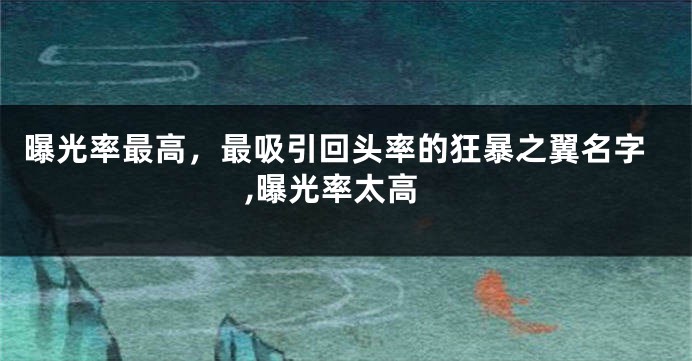 曝光率最高,最吸引回头率的狂暴之翼名字,曝光率太高