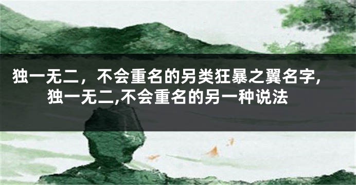 独一无二,不会重名的另类狂暴之翼名字,独一无二,不会重名的另一种说法