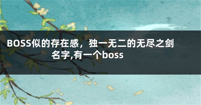 BOSS似的存在感,独一无二的无尽之剑名字,有一个boss