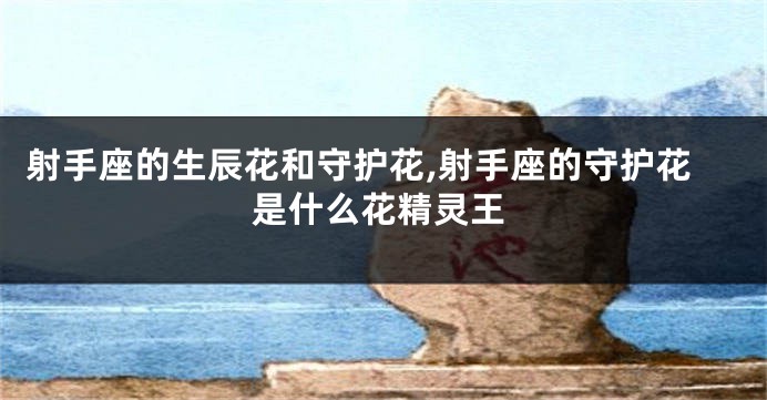 射手座的生辰花和守护花,射手座的守护花是什么花精灵王