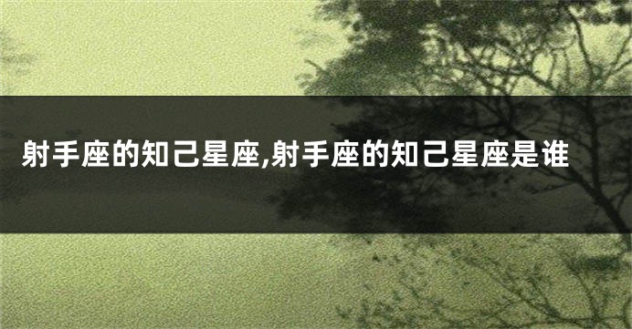 射手座的知己星座,射手座的知己星座是谁
