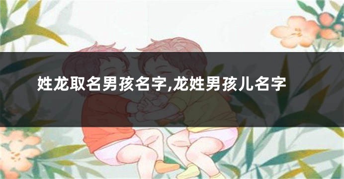 姓龙取名男孩名字,龙姓男孩儿名字