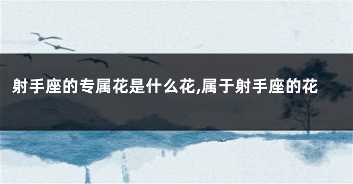 射手座的专属花是什么花,属于射手座的花