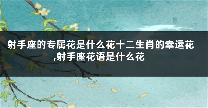 射手座的专属花是什么花十二生肖的幸运花,射手座花语是什么花
