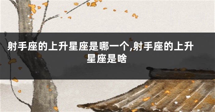 射手座的上升星座是哪一个,射手座的上升星座是啥