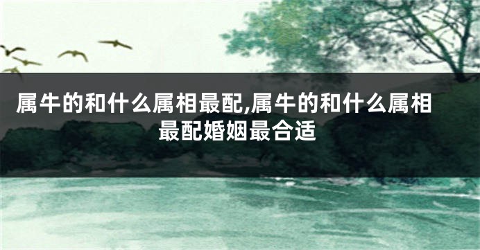 属牛的和什么属相最配,属牛的和什么属相最配婚姻最合适