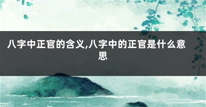 八字中正官的含义,八字中的正官是什么意思