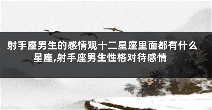 射手座男生的感情观十二星座里面都有什么星座,射手座男生性格对待感情