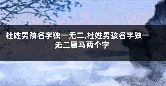 杜姓男孩名字独一无二,杜姓男孩名字独一无二属马两个字