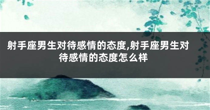射手座男生对待感情的态度,射手座男生对待感情的态度怎么样