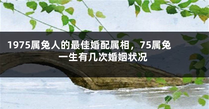 1975属兔人的最佳婚配属相,75属兔一生有几次婚姻状况