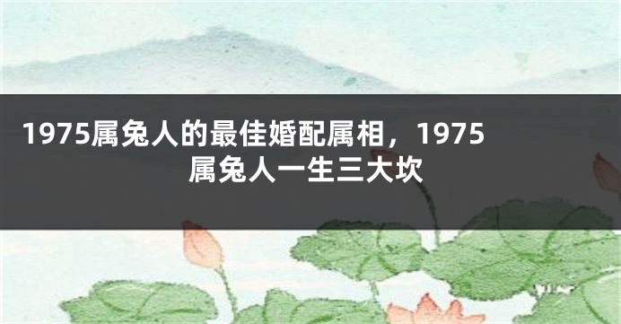 1975属兔人的最佳婚配属相,1975属兔人一生三大坎