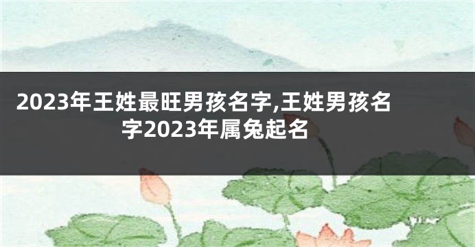 2023年王姓最旺男孩名字,王姓男孩名字2023年属兔起名